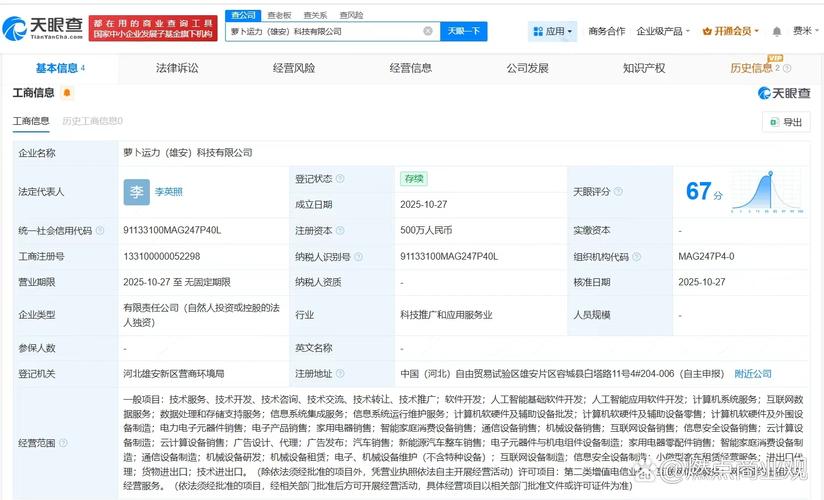 AI双轮驱动 人工智能基础软件与应用软件开发的战略协同